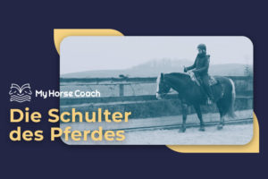 Angebote_Die-Schulter-des-Pferdes_MyHorseCoach
