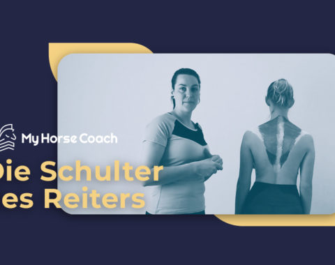 Angebote_Die-Schulter-des-Reiters_MyHorseCoach Die Schulter des Reiters
