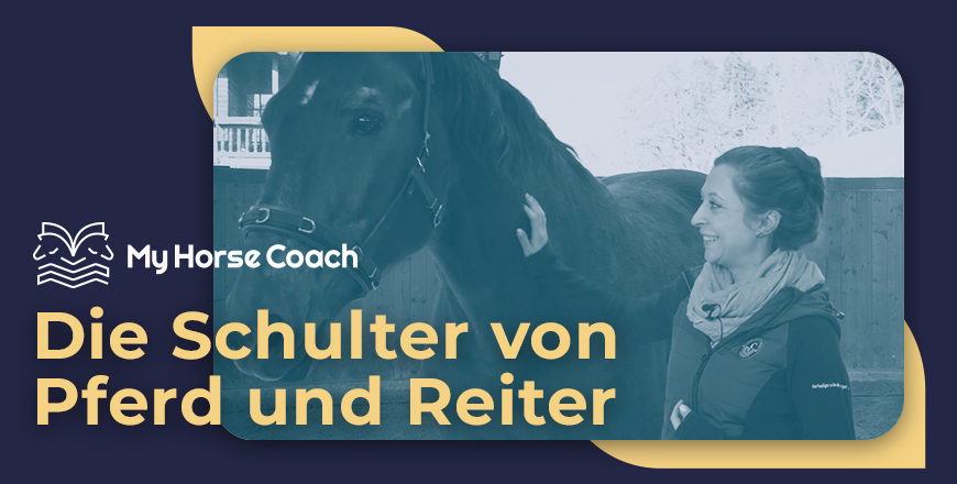 Angebote_Die-Schulter-von-Pferd-und-Reiter_MyHorseCoach