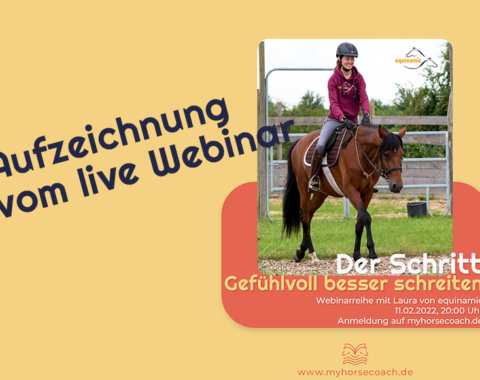 thumbnail der schritt