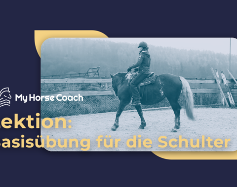 thumbnail schulter basis