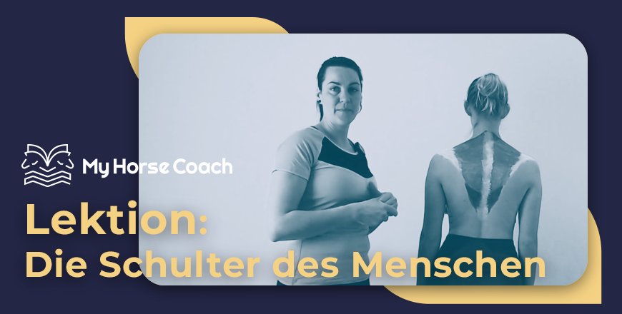 thumbnail schulter mensch