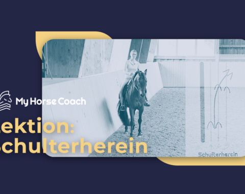 thumbnail schulterherein