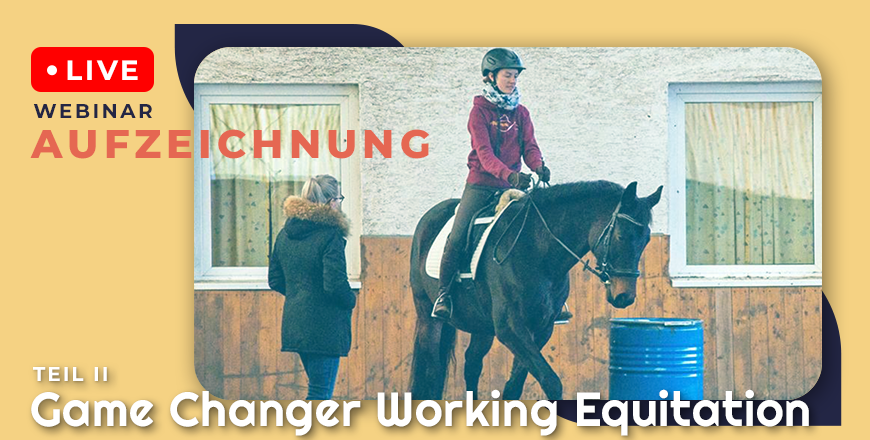 Shop Thumbnail WE II