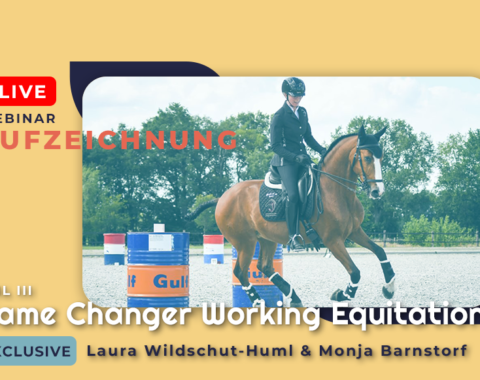 Shop Thumbnail WE III