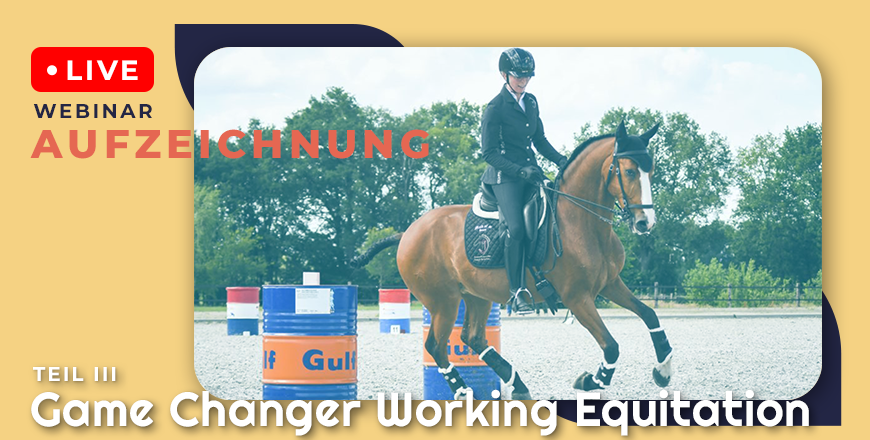 Shop Thumbnail WE III