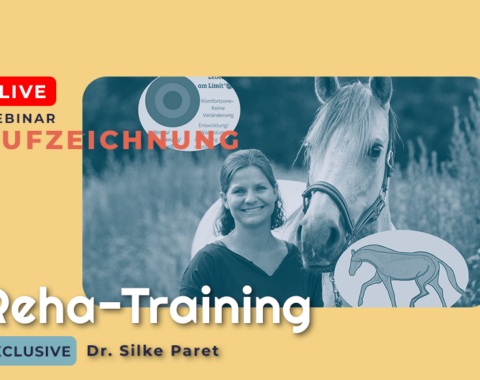 Website_Shop Thumbnail_Silke Paret 3 Aufzeichnung