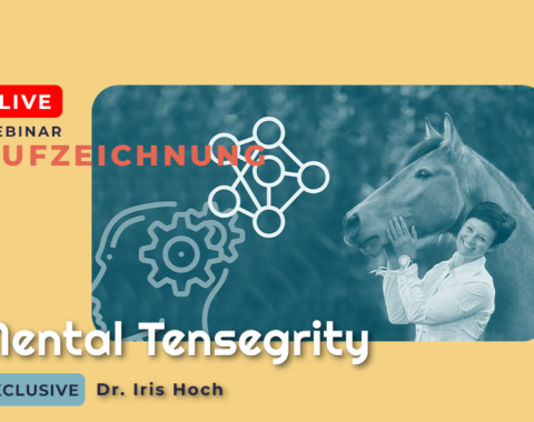 ShopThumbnail Mental tensegrity.png