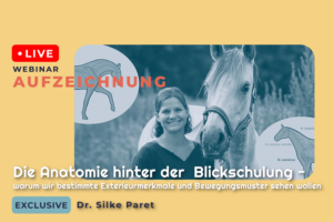 Website_Shop Thumbnail_Silke Paret 1 Aufzeichnung