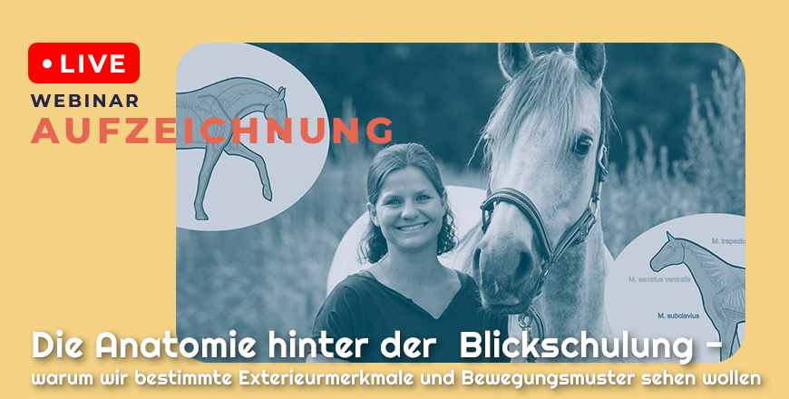 Website_Shop Thumbnail_Silke Paret 1 Aufzeichnung